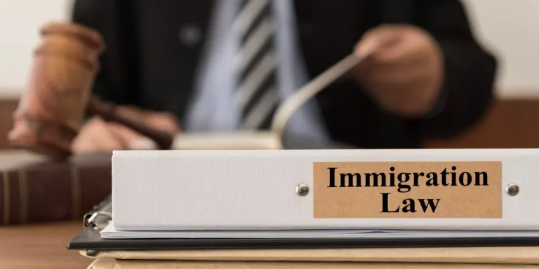 Who Is the Best Immigration Lawyer in New York?