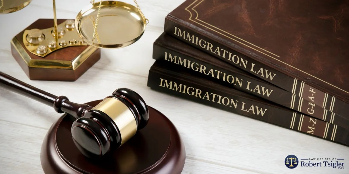 How New York Law Firms Can Assist in Preventing Deportation?